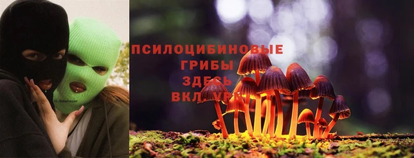амф Краснотурьинск