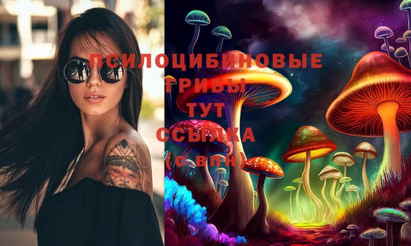 стаф Красноперекопск